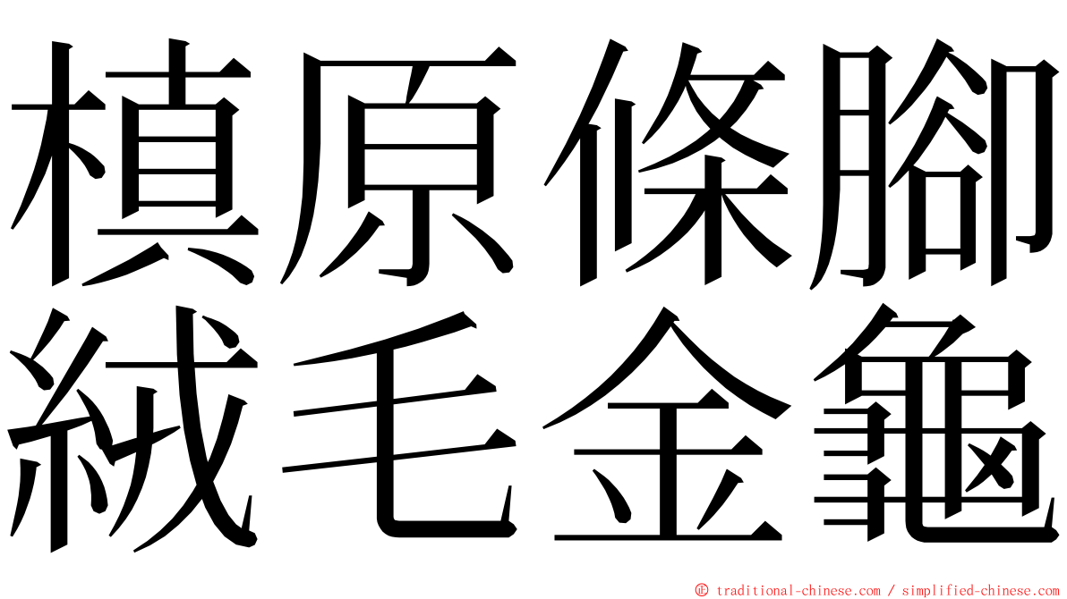 槙原條腳絨毛金龜 ming font