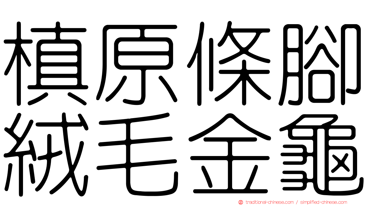 槙原條腳絨毛金龜