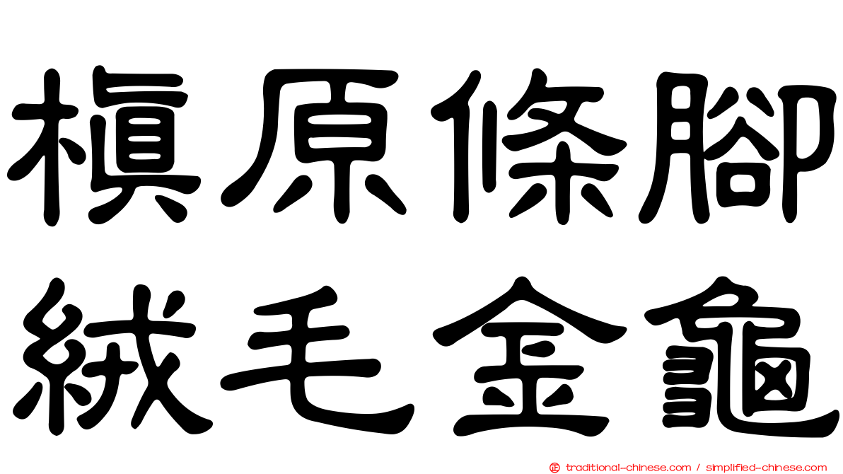 槙原條腳絨毛金龜