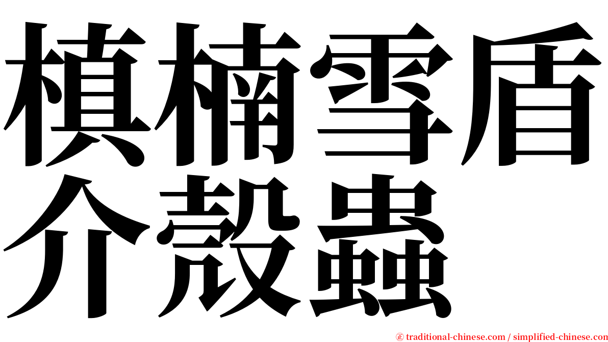 槙楠雪盾介殼蟲 serif font