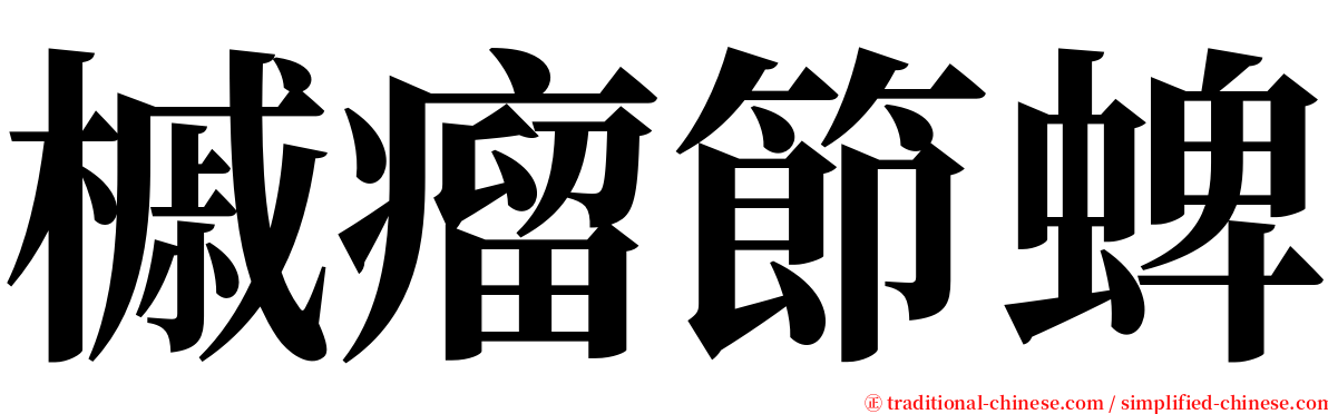 槭瘤節蜱 serif font