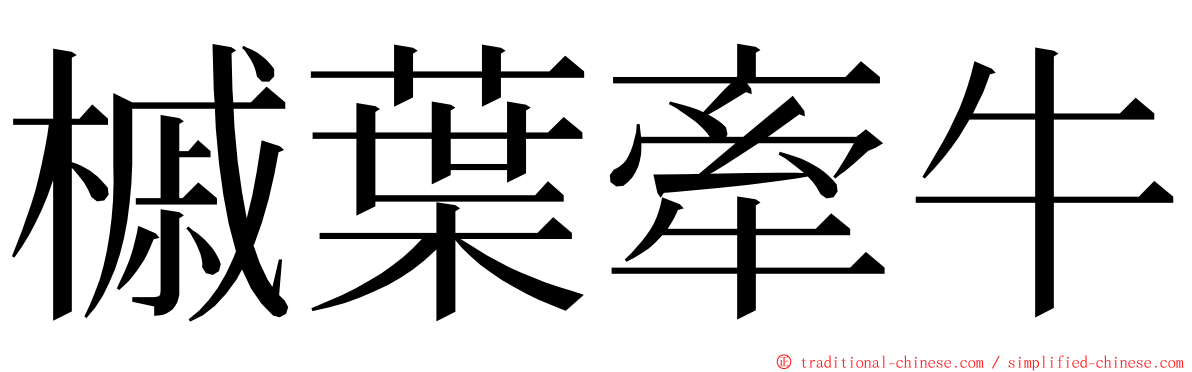 槭葉牽牛 ming font