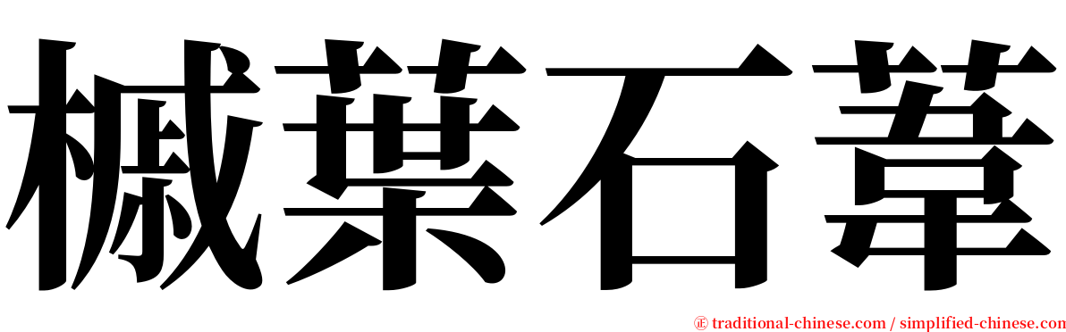 槭葉石葦 serif font