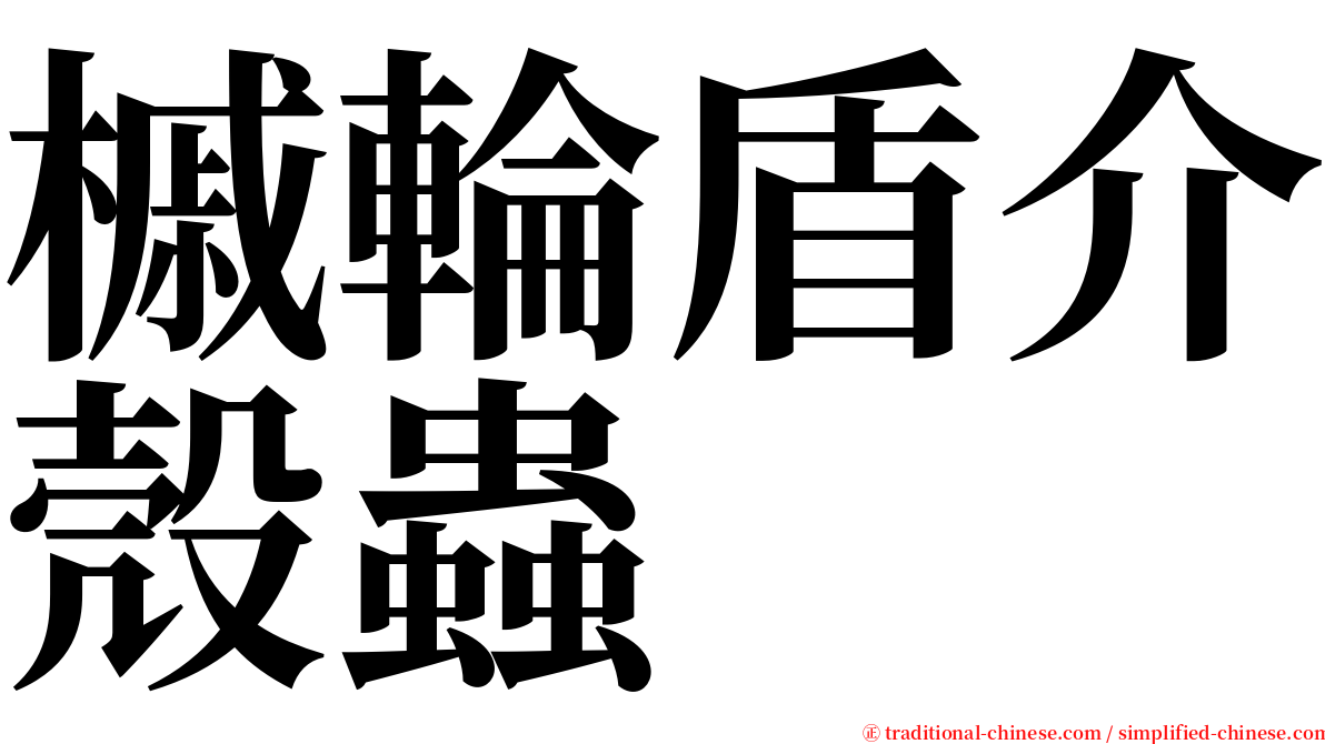 槭輪盾介殼蟲 serif font