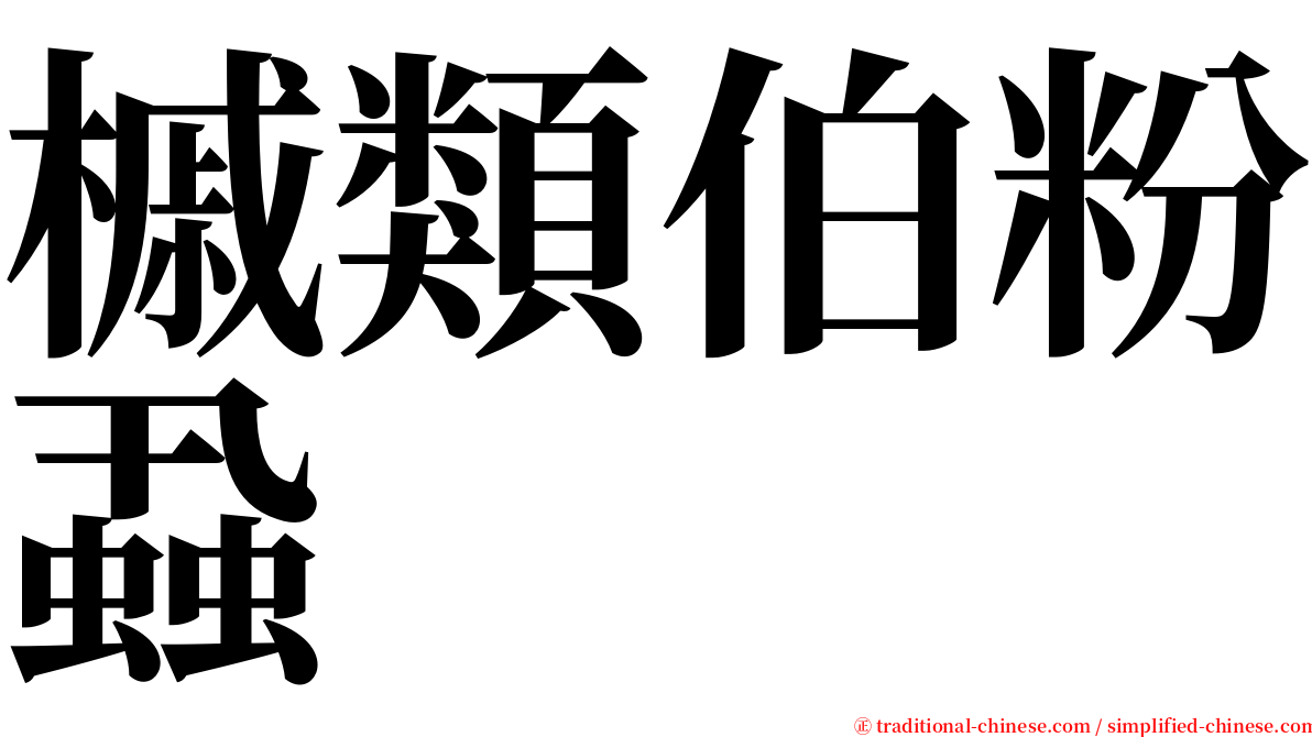 槭類伯粉蝨 serif font