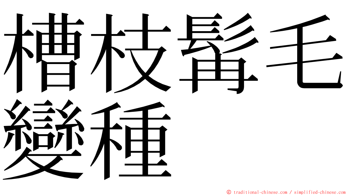 槽枝髯毛變種 ming font