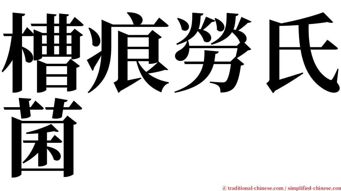 槽痕勞氏菌 serif font