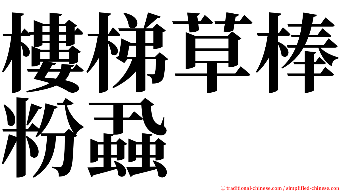 樓梯草棒粉蝨 serif font