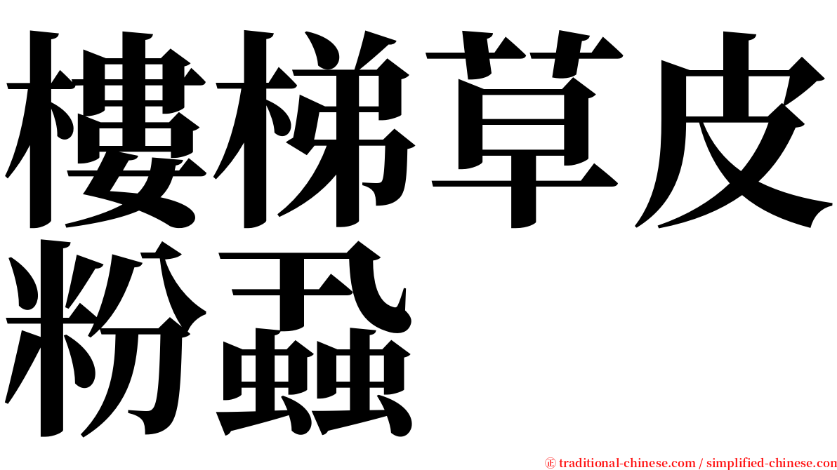 樓梯草皮粉蝨 serif font