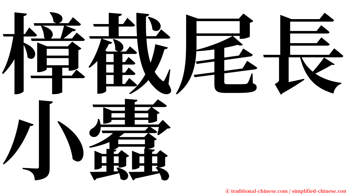 樟截尾長小蠹 serif font