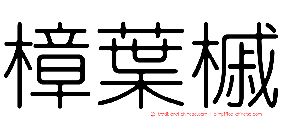樟葉槭