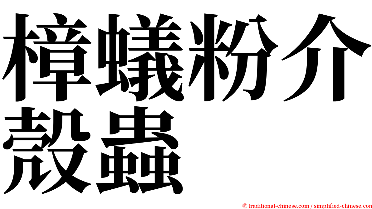 樟蟻粉介殼蟲 serif font