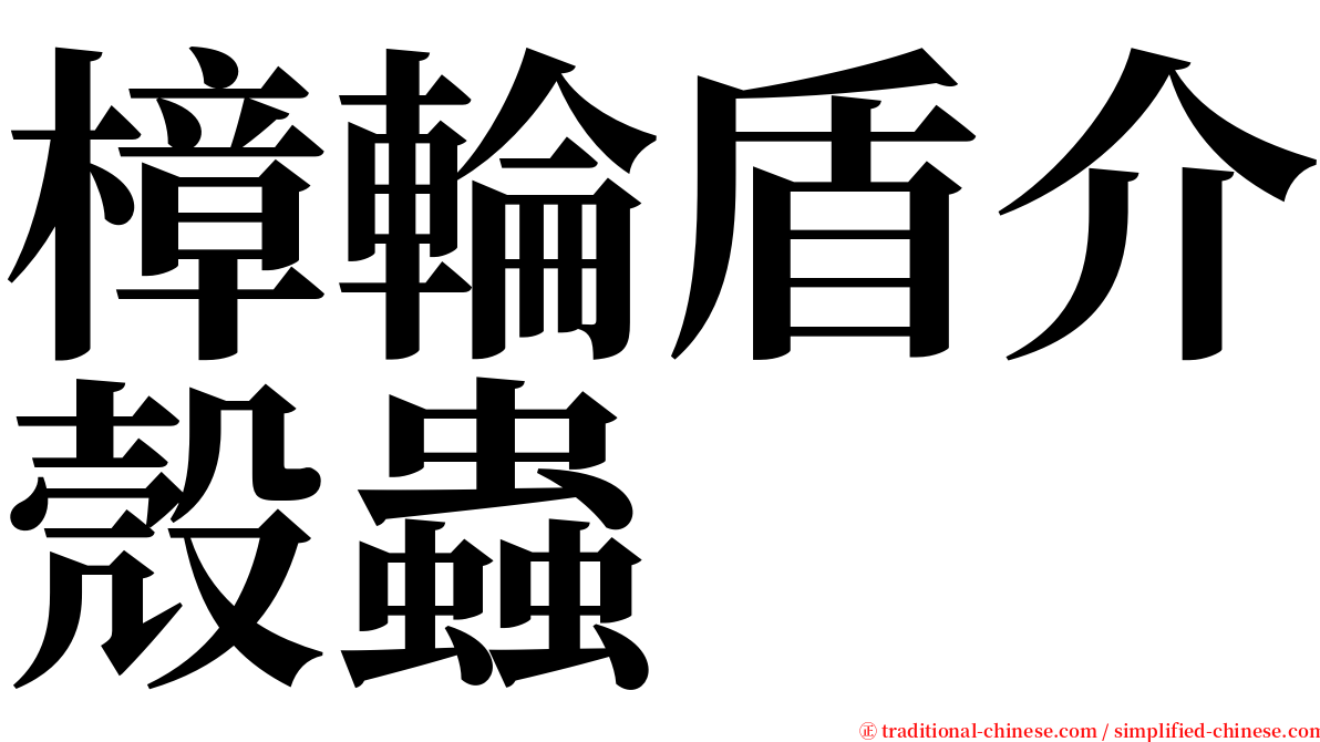 樟輪盾介殼蟲 serif font