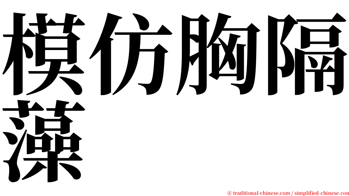 模仿胸隔藻 serif font