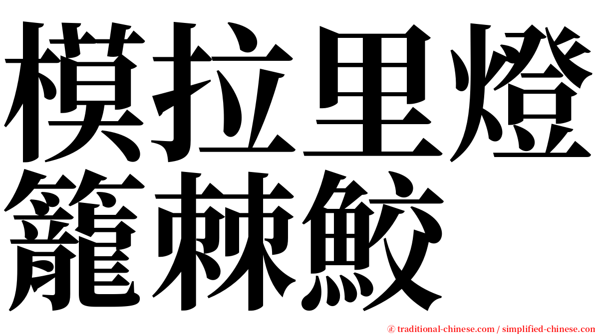 模拉里燈籠棘鮫 serif font