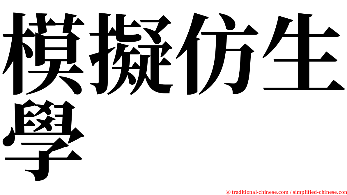 模擬仿生學 serif font