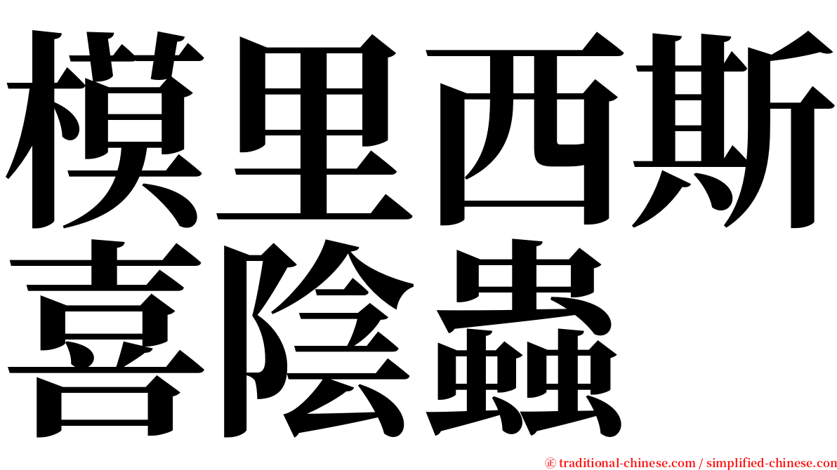 模里西斯喜陰蟲 serif font