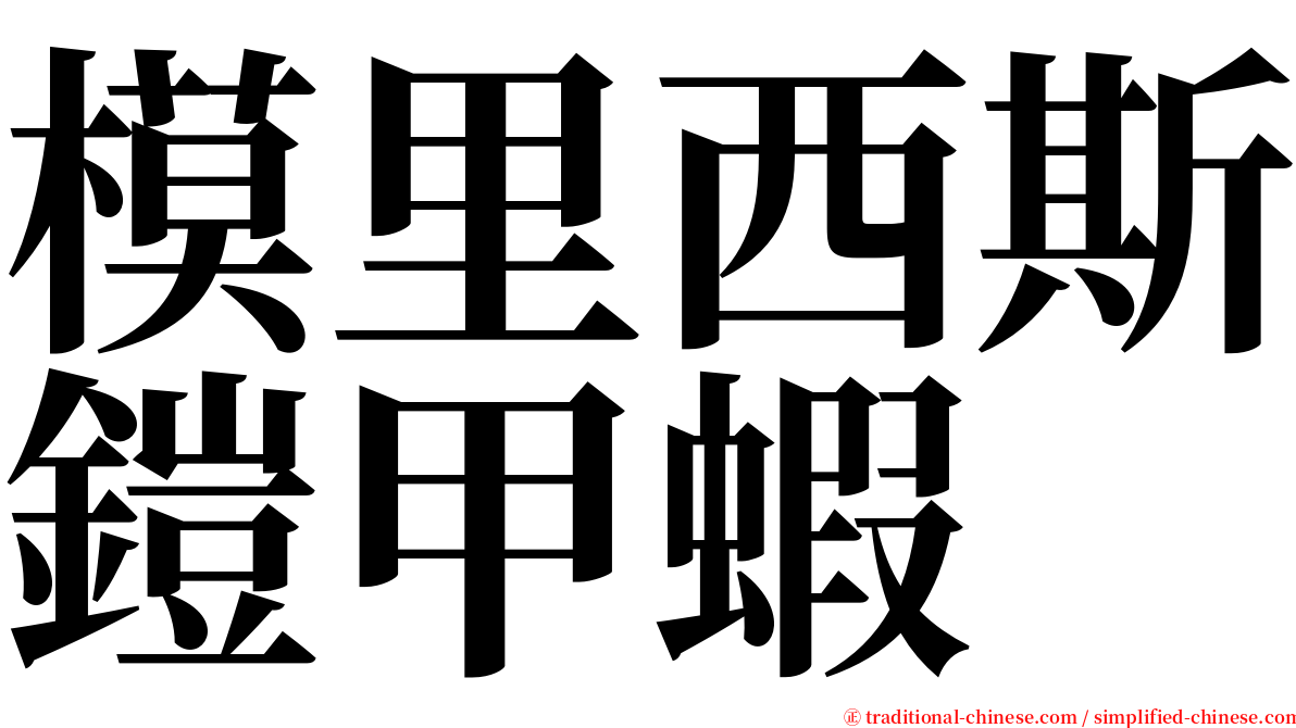 模里西斯鎧甲蝦 serif font