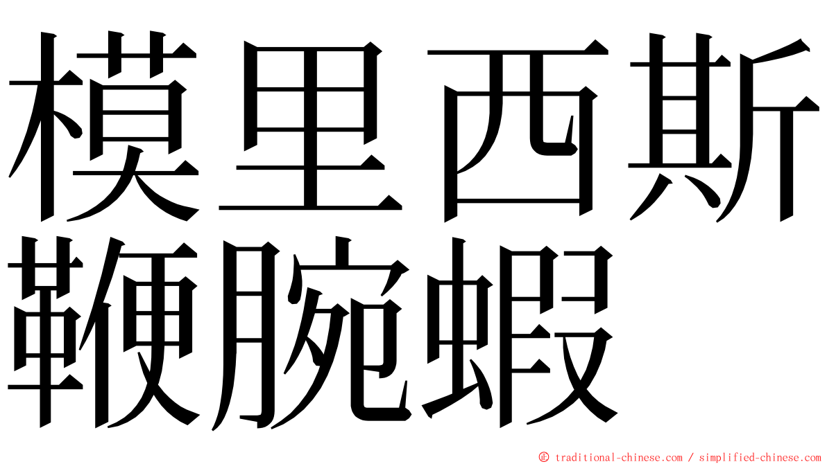 模里西斯鞭腕蝦 ming font