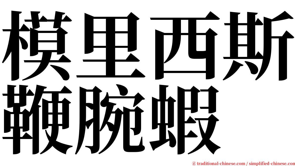 模里西斯鞭腕蝦 serif font