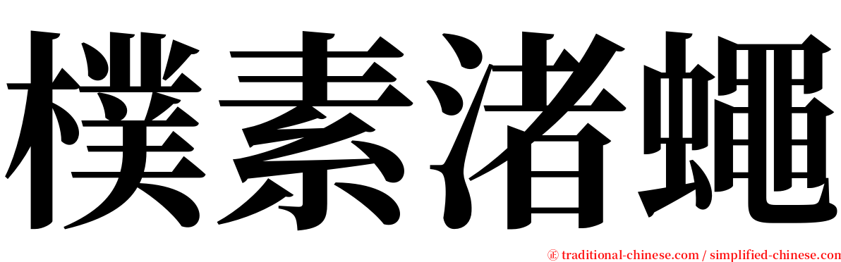 樸素渚蠅 serif font