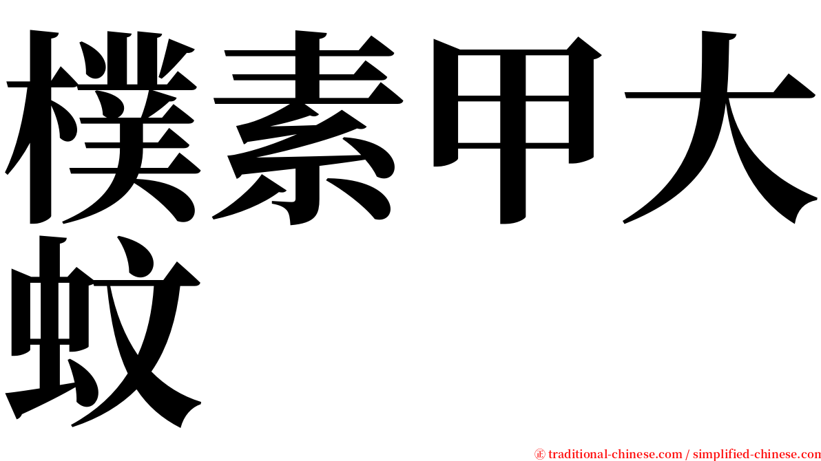 樸素甲大蚊 serif font