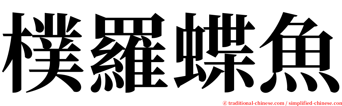 樸羅蝶魚 serif font