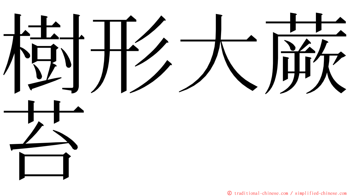 樹形大蕨苔 ming font