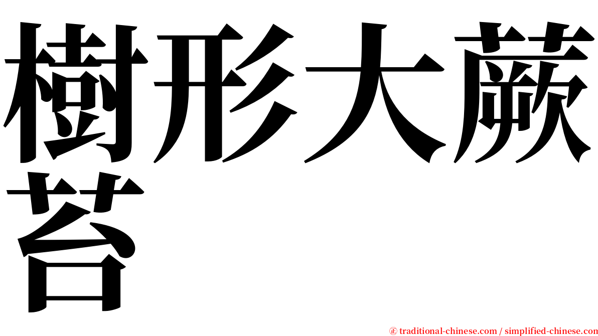 樹形大蕨苔 serif font