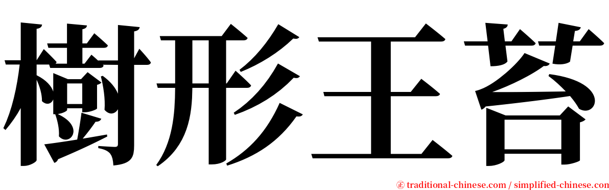 樹形王苔 serif font