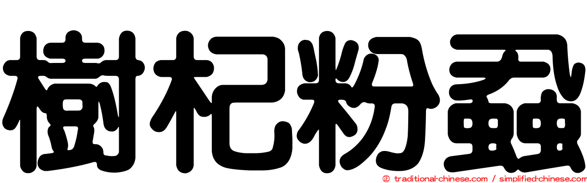 樹杞粉蝨