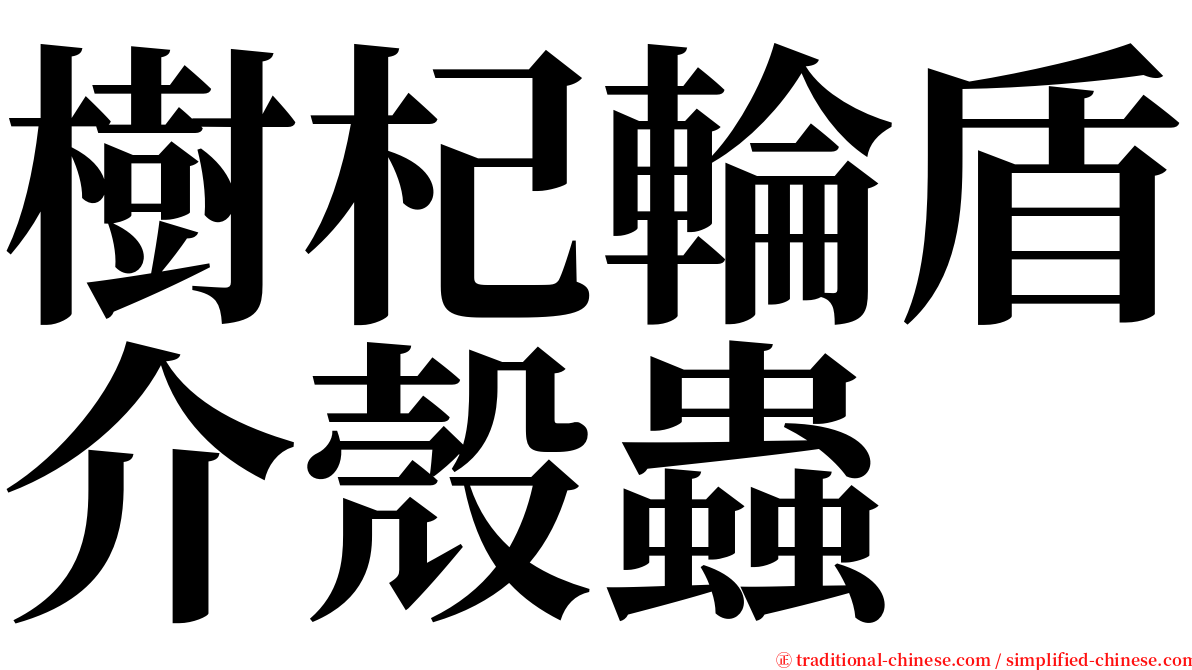 樹杞輪盾介殼蟲 serif font