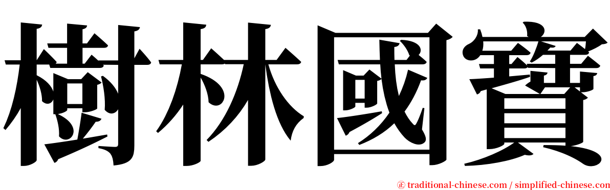 樹林國寶 serif font