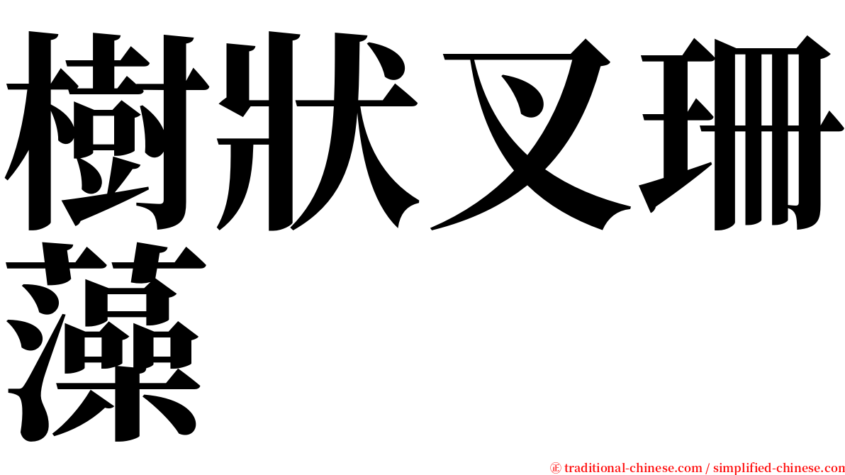 樹狀叉珊藻 serif font