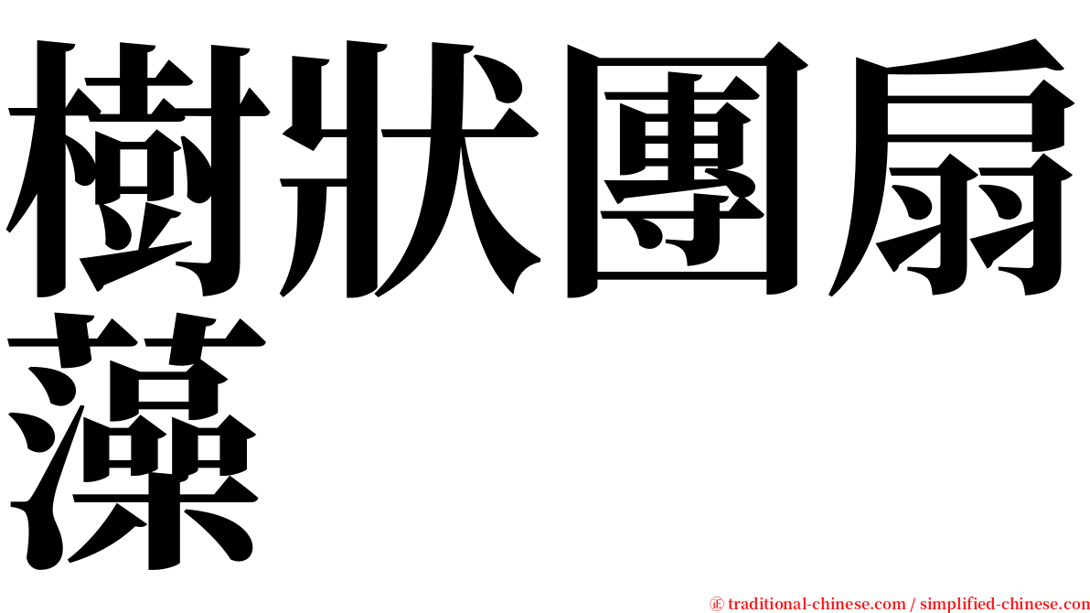 樹狀團扇藻 serif font