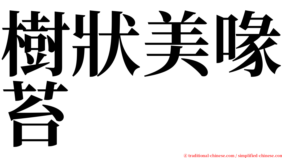 樹狀美喙苔 serif font