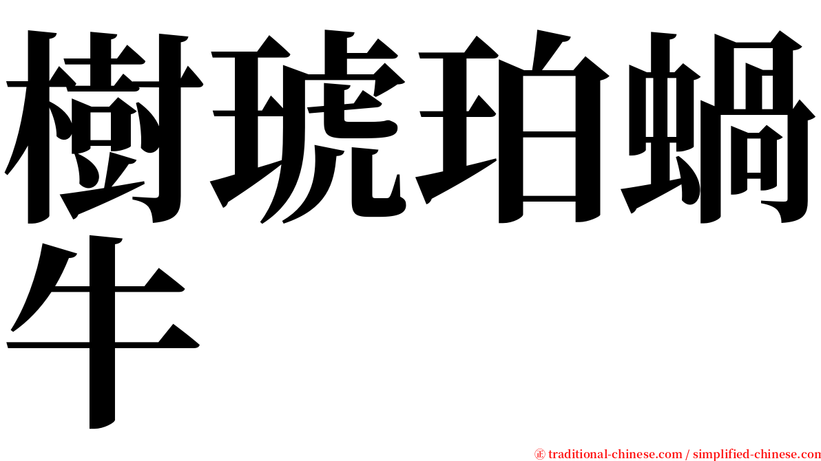 樹琥珀蝸牛 serif font