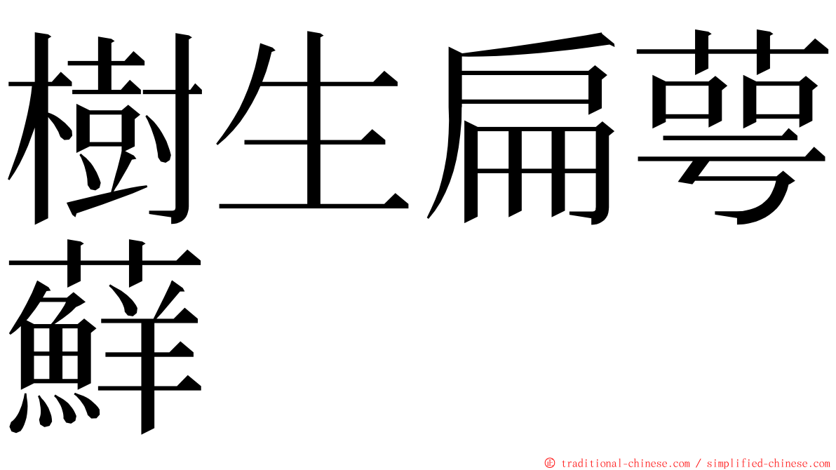 樹生扁萼蘚 ming font