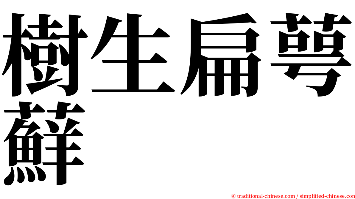 樹生扁萼蘚 serif font