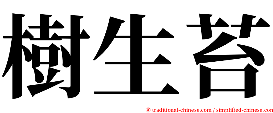 樹生苔 serif font