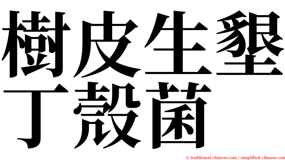 樹皮生墾丁殼菌 serif font