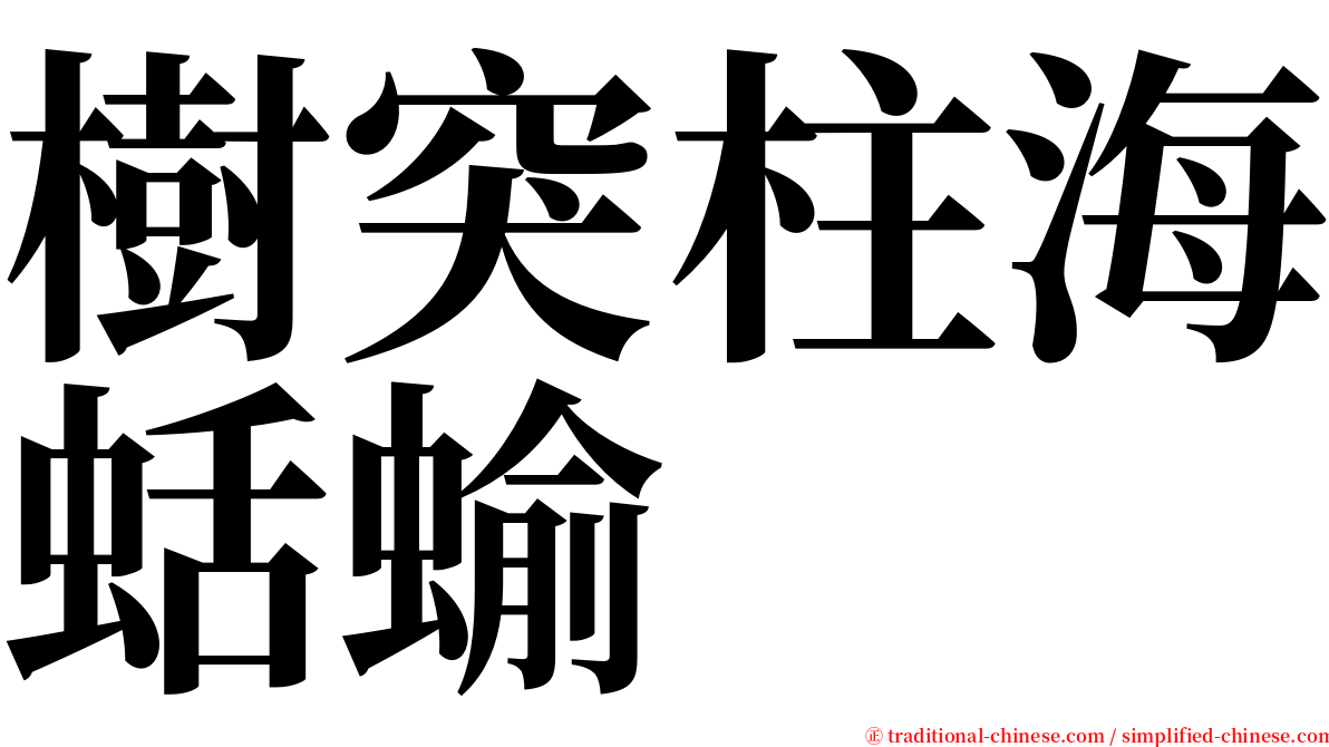 樹突柱海蛞蝓 serif font