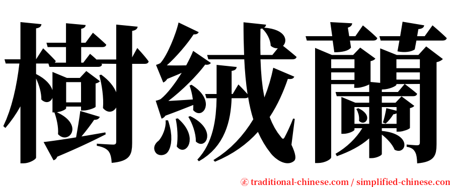 樹絨蘭 serif font