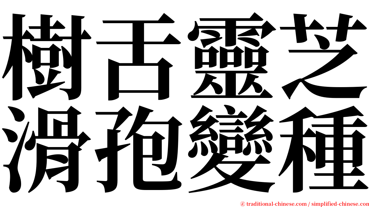 樹舌靈芝滑孢變種 serif font