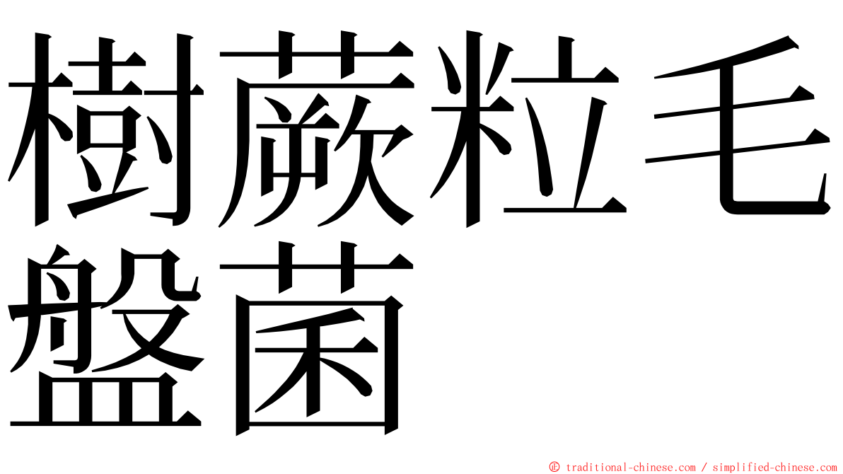 樹蕨粒毛盤菌 ming font