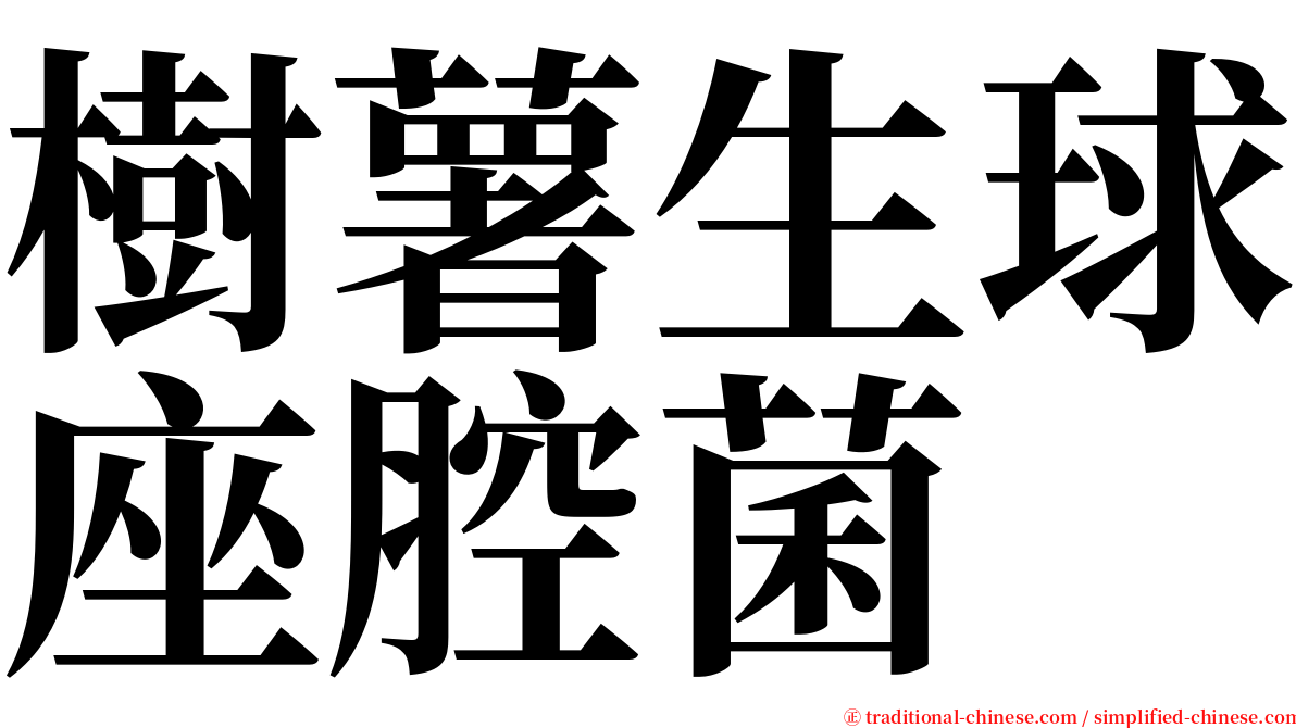 樹薯生球座腔菌 serif font