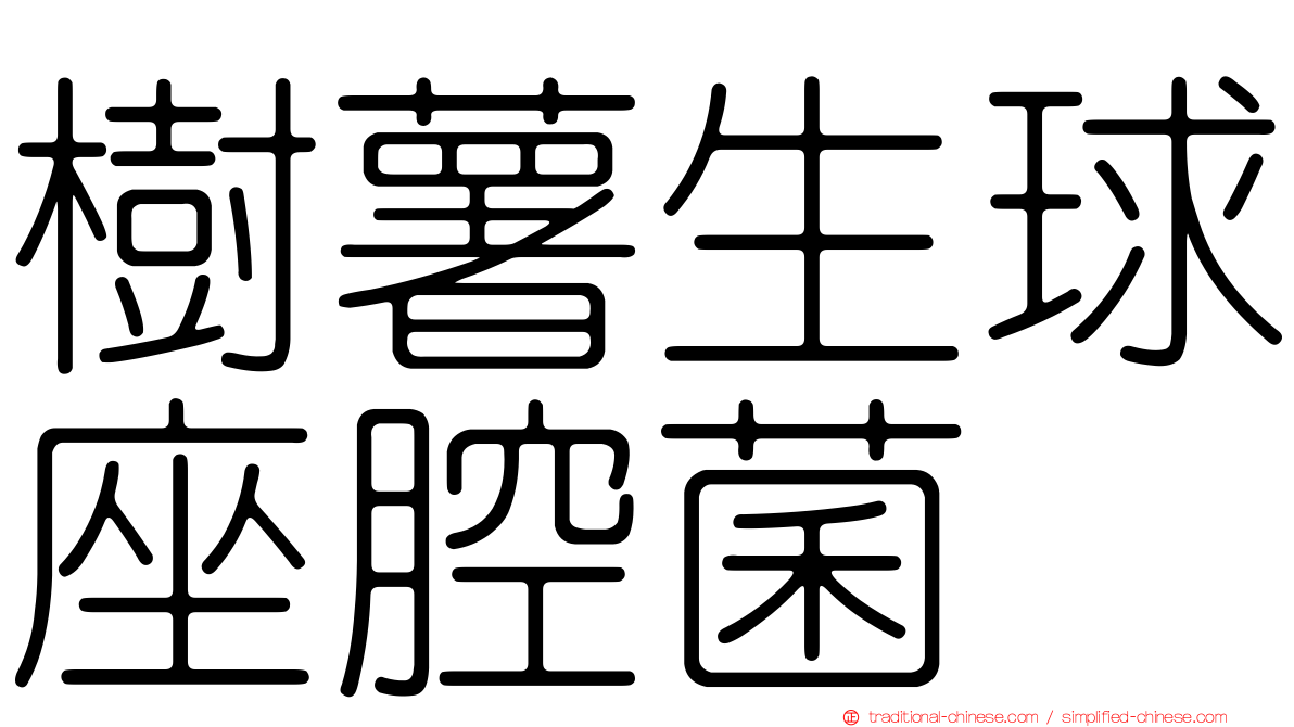 樹薯生球座腔菌