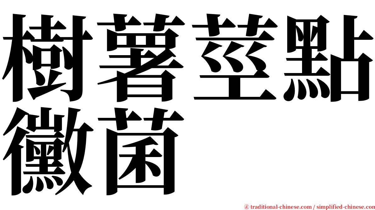 樹薯莖點黴菌 serif font