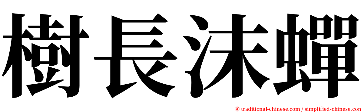 樹長沫蟬 serif font