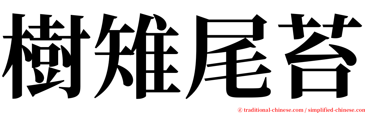 樹雉尾苔 serif font